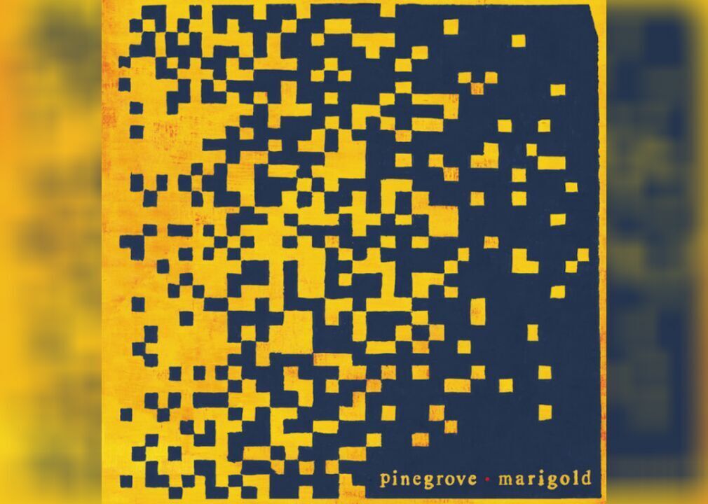 #85. Marigold by Pinegrove